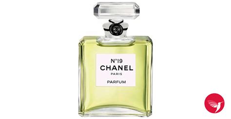 chanel perfume debenhams ireland|perfumes like chanel no 19.